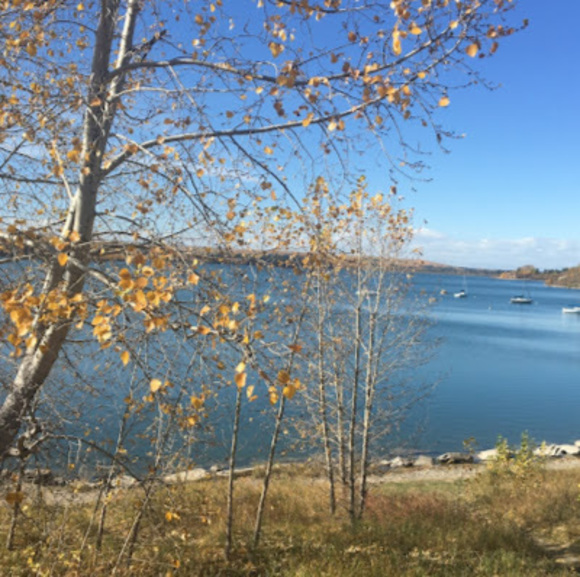 Meet your Posher, Susan - Picture 1 of 1